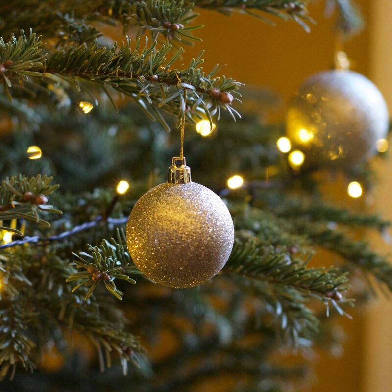 ACCENSIONE ALBERO DI NATALE