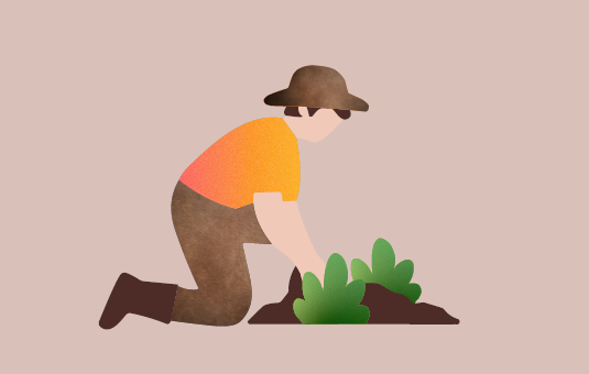 ISTRUZIONI PER L’ORTO