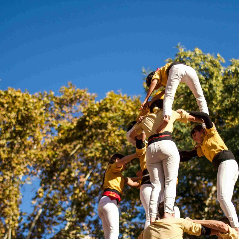 FESTIVAL DI CIRCO TADAAA