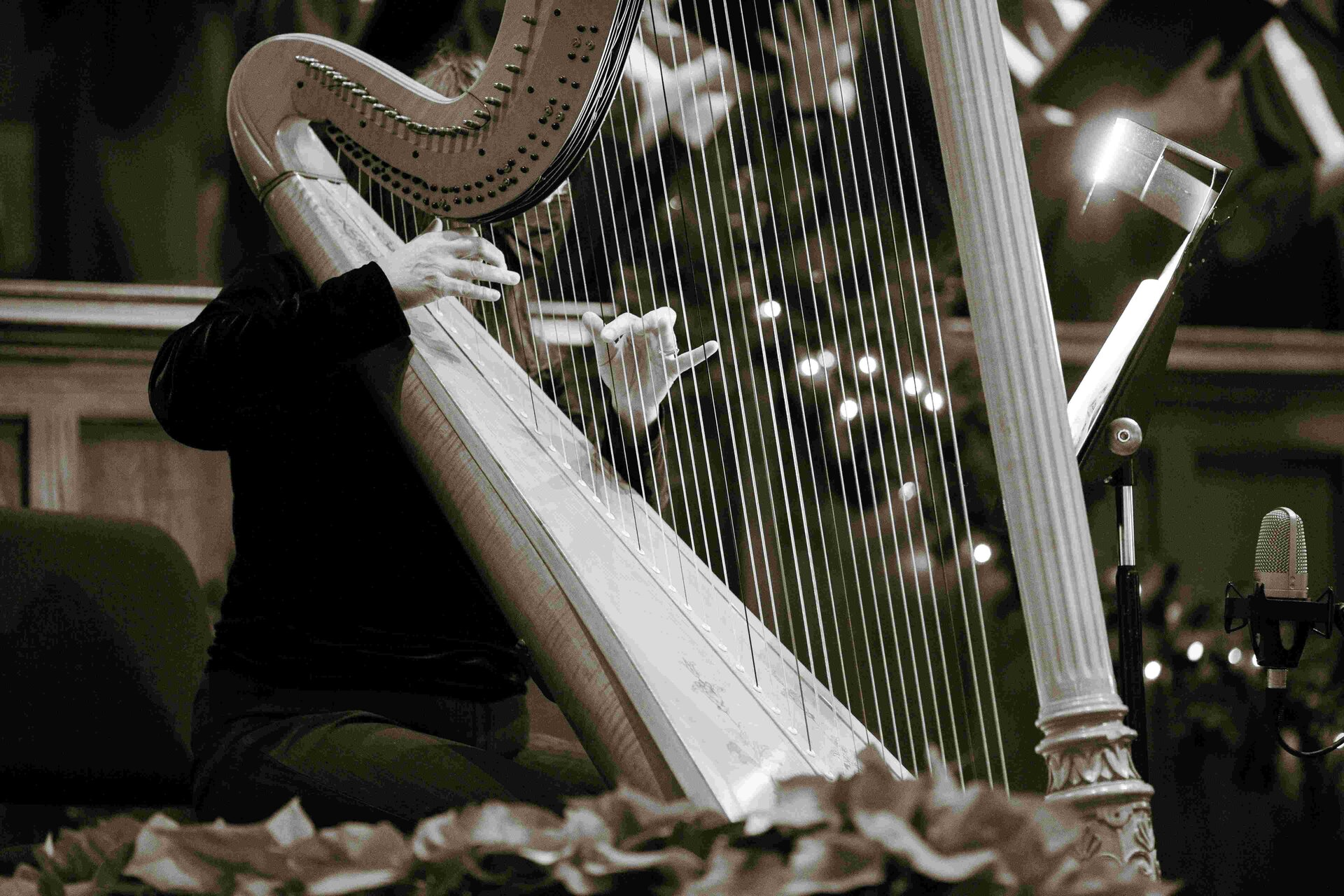 CONCERTO D'ARPE