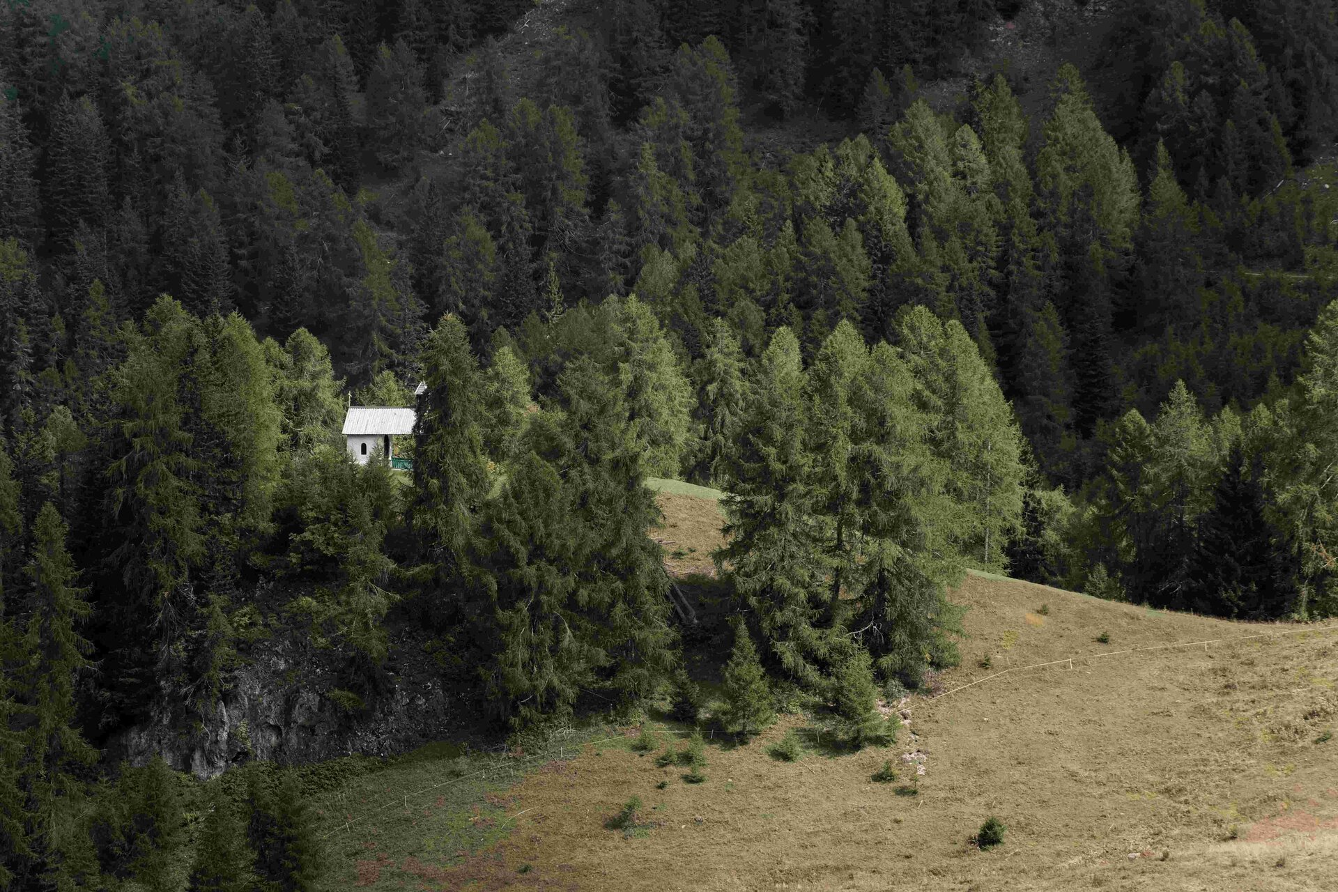 MADONNA DELLA NEVE