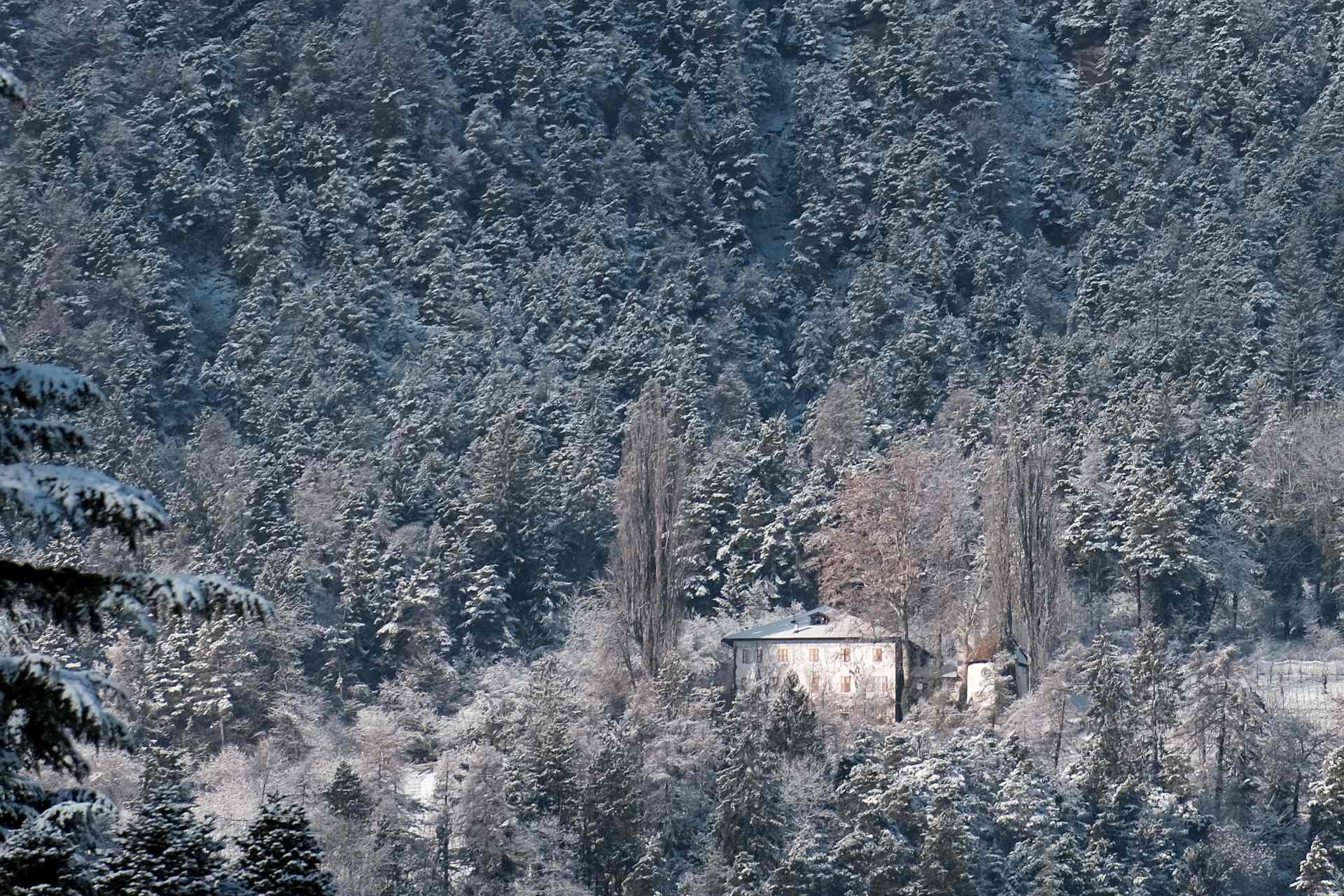 Chiesa di San Vito